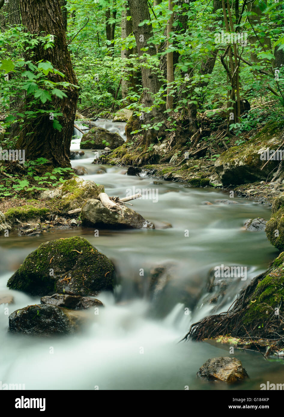 Stream in mountain forest in Zadiel Slovakia - long exposure Stock Photo