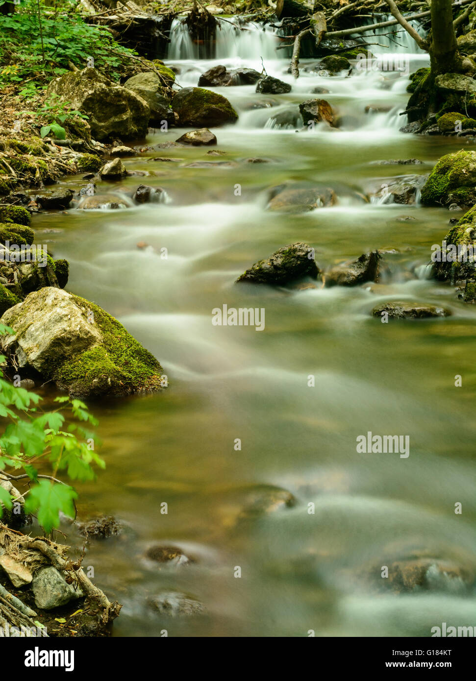 Stream in mountain forest in Zadiel Slovakia - long exposure Stock Photo
