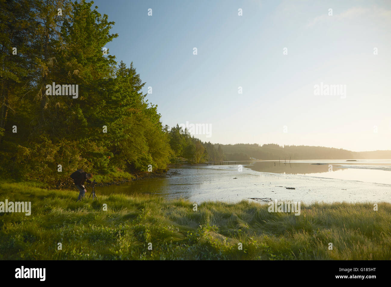 Man photographing coast at dusk, Puget Sound, Washington State, USA Stock Photo