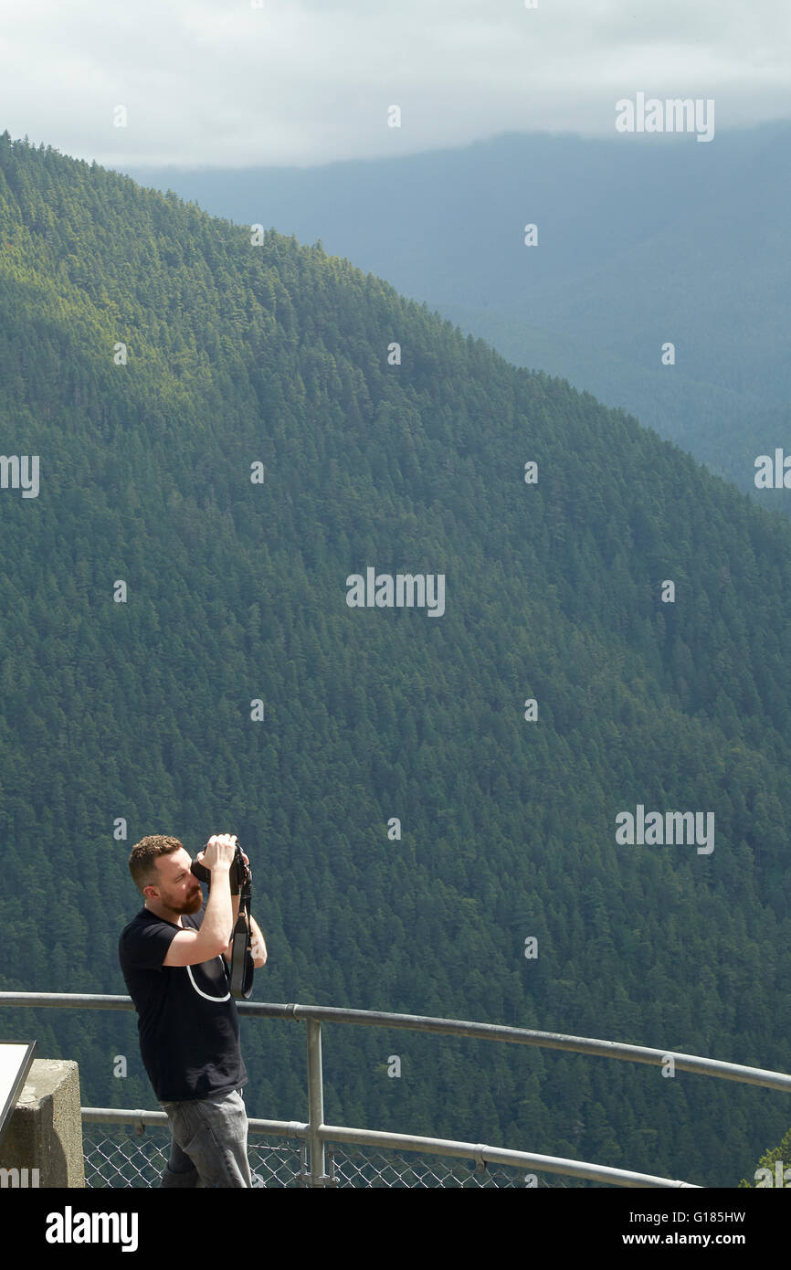 Male photographer photographing forest from viewing platform, Olympic Mountains, Washington State, USA Stock Photo
