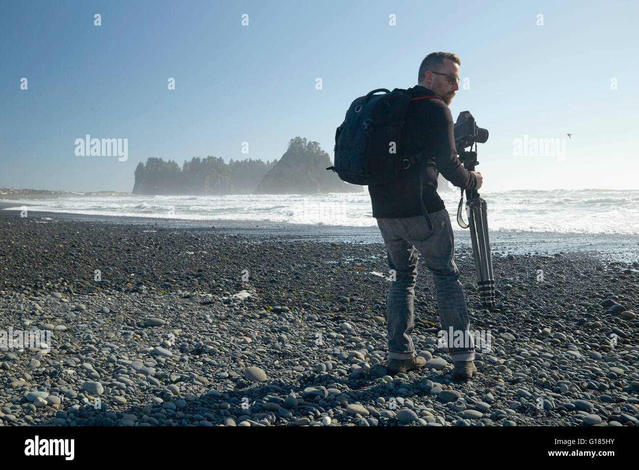 Male photographer on beach carrying camera and tripod, Rialto Beach, Washington State, USA Stock Photo