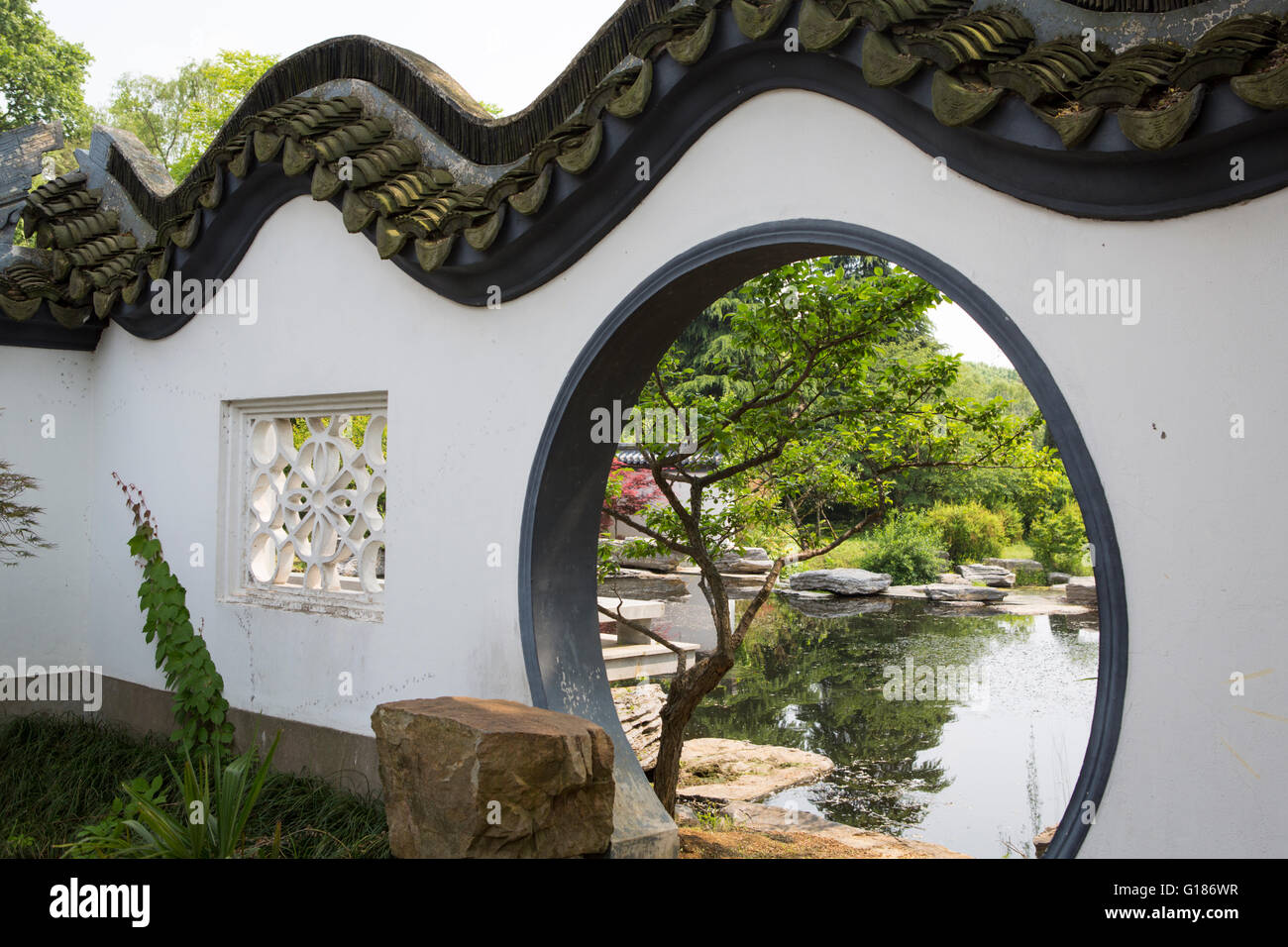 Chinese garden with a curved wall, round gate, lake and trees at the