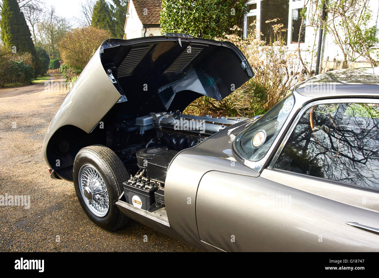Classic Series 1 3.8 E-Type Jaguar Sports Car 1961 FHC Stock Photo