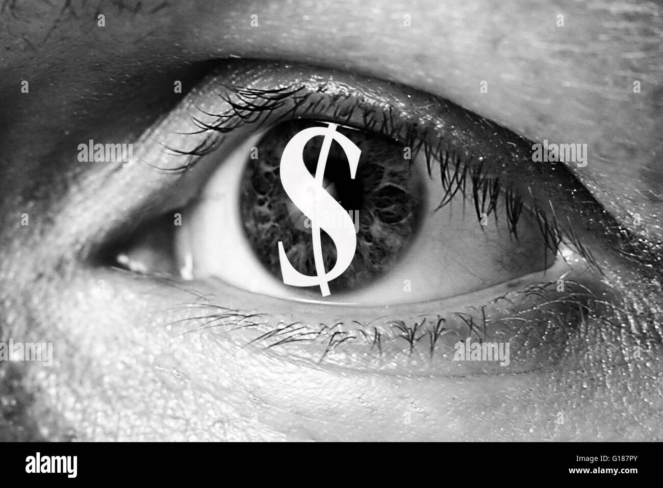 dollar money sign in big eye extreme greed illegal immigrant closeup Stock Photo