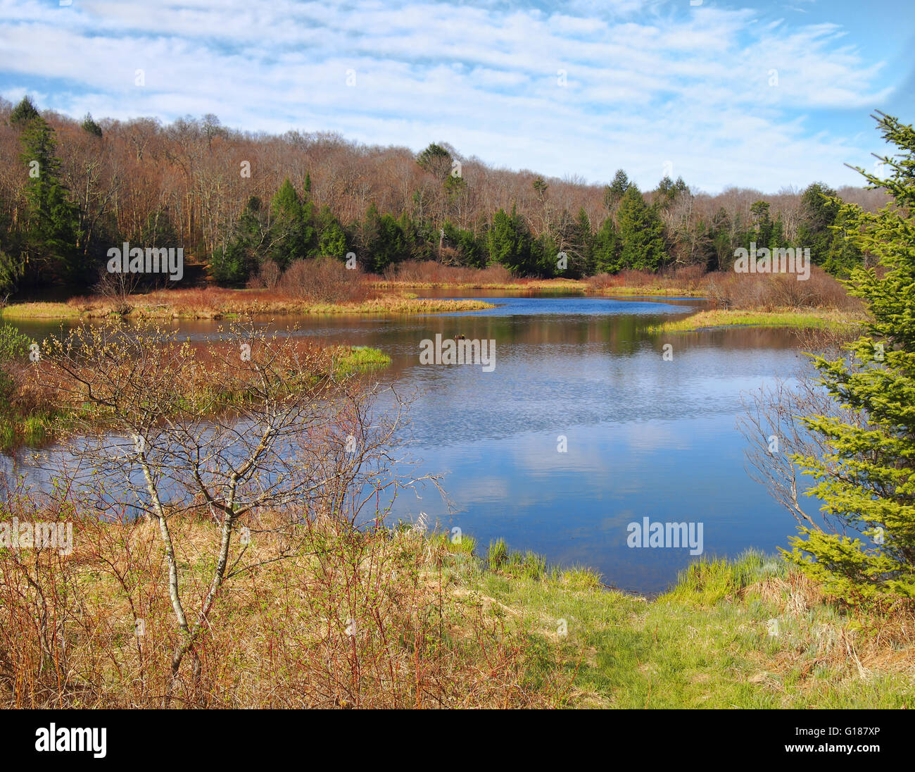 The Moose River, Thendara, New York, in the Adirondack State Park Stock