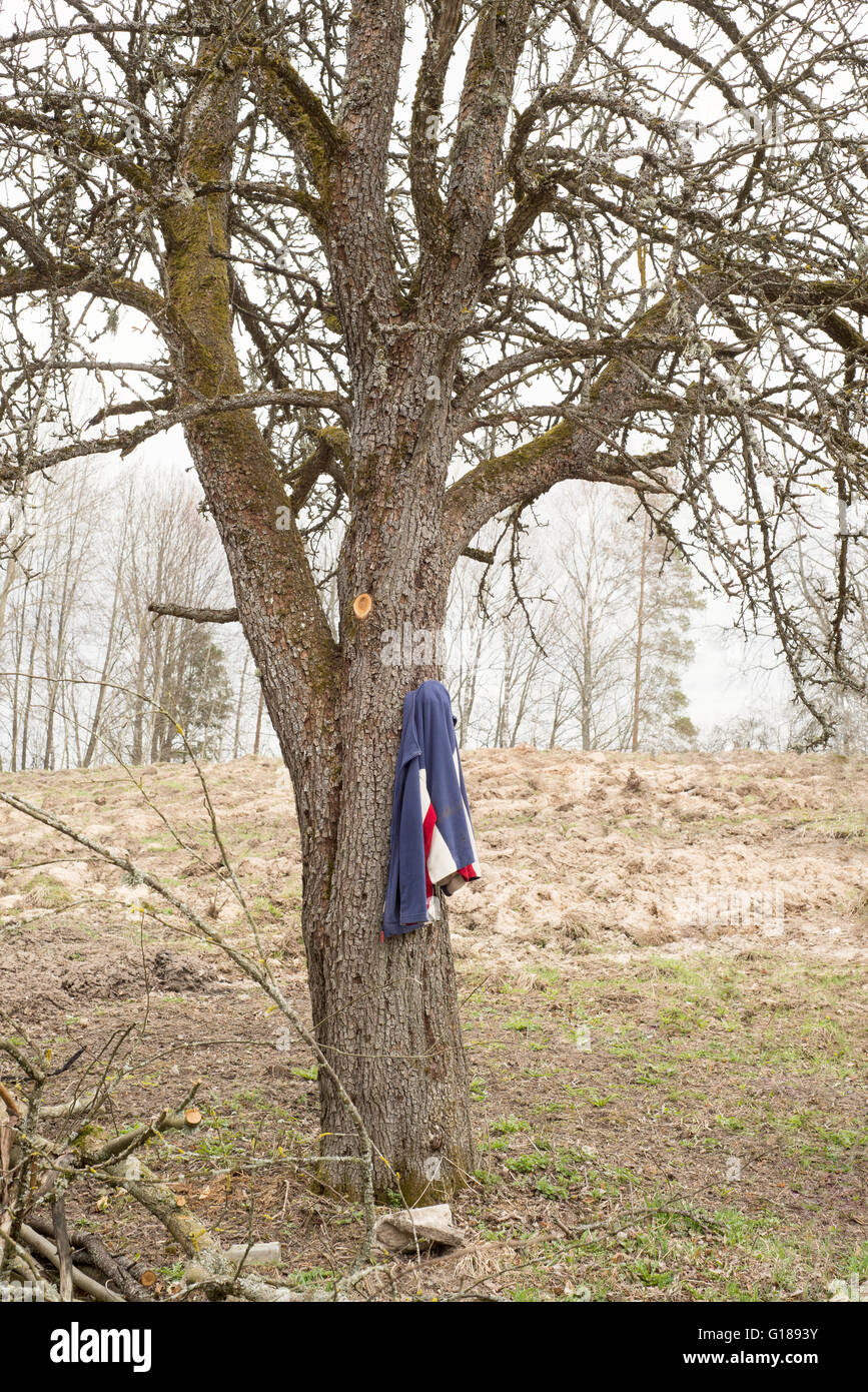 Clothes trees hotsell