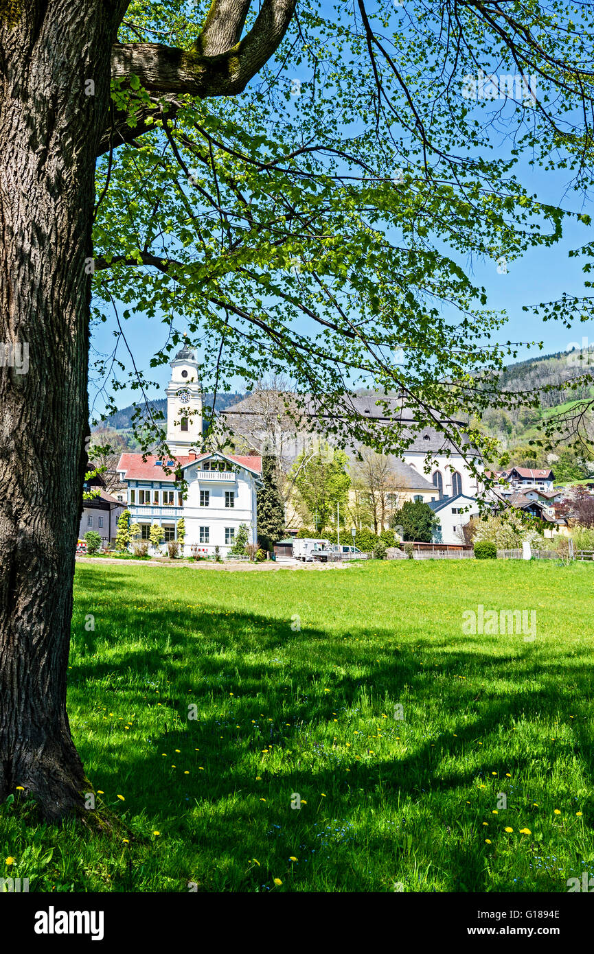 Blick auf Mondsee mit Klosterkirche St. Michael, Salzkammergut; View on Mondsee, Austria with Basilica Stock Photo