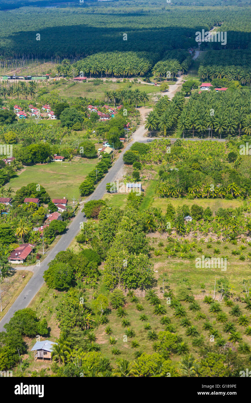COSTA RICA - Aerial of palm oil plantation and settlement. Stock Photo