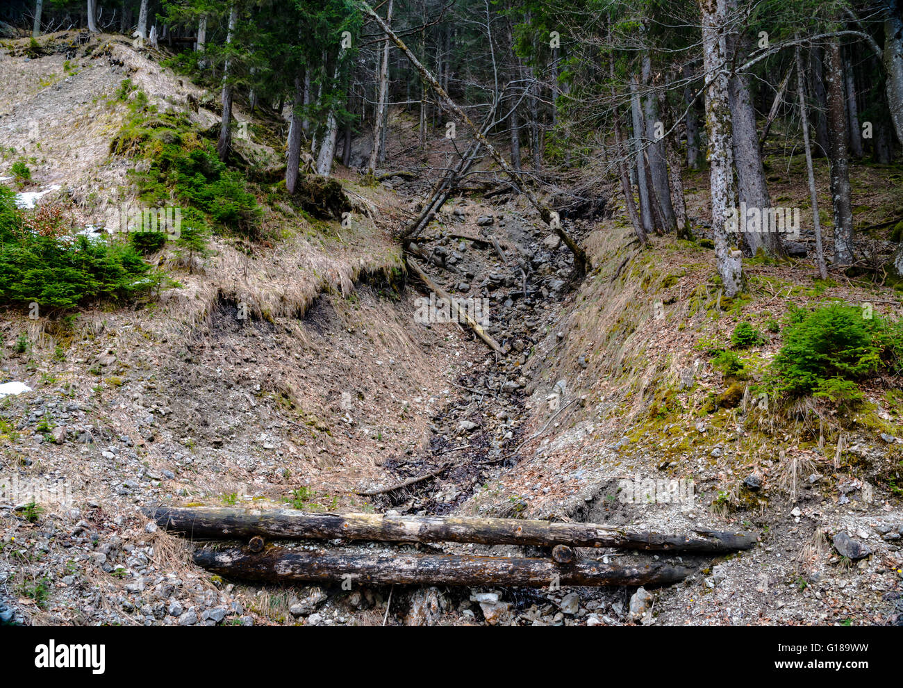 Waterscape forest mountain hi-res stock photography and images - Alamy