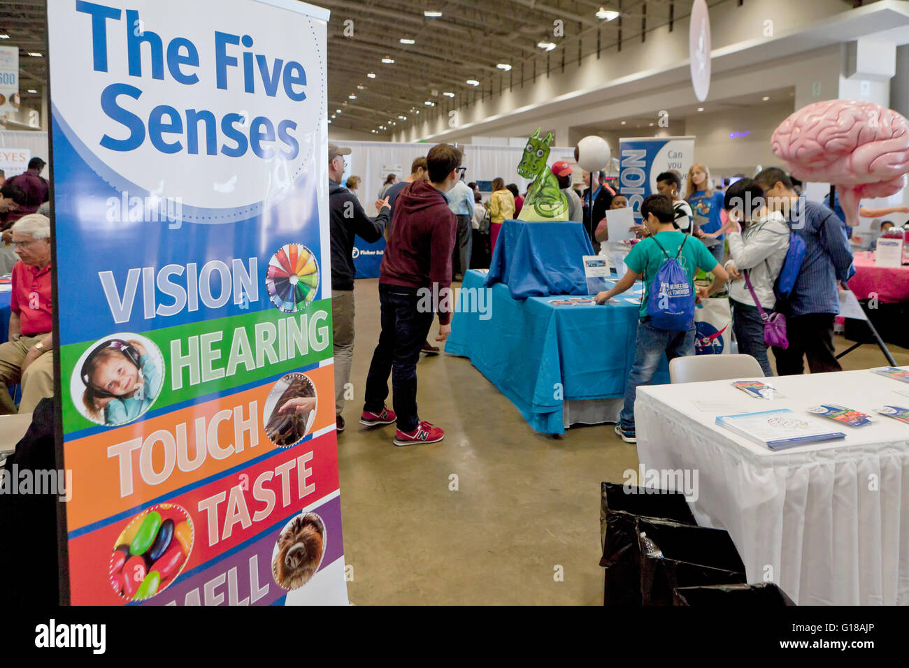 The Five Senses station at science fair - USA Stock Photo