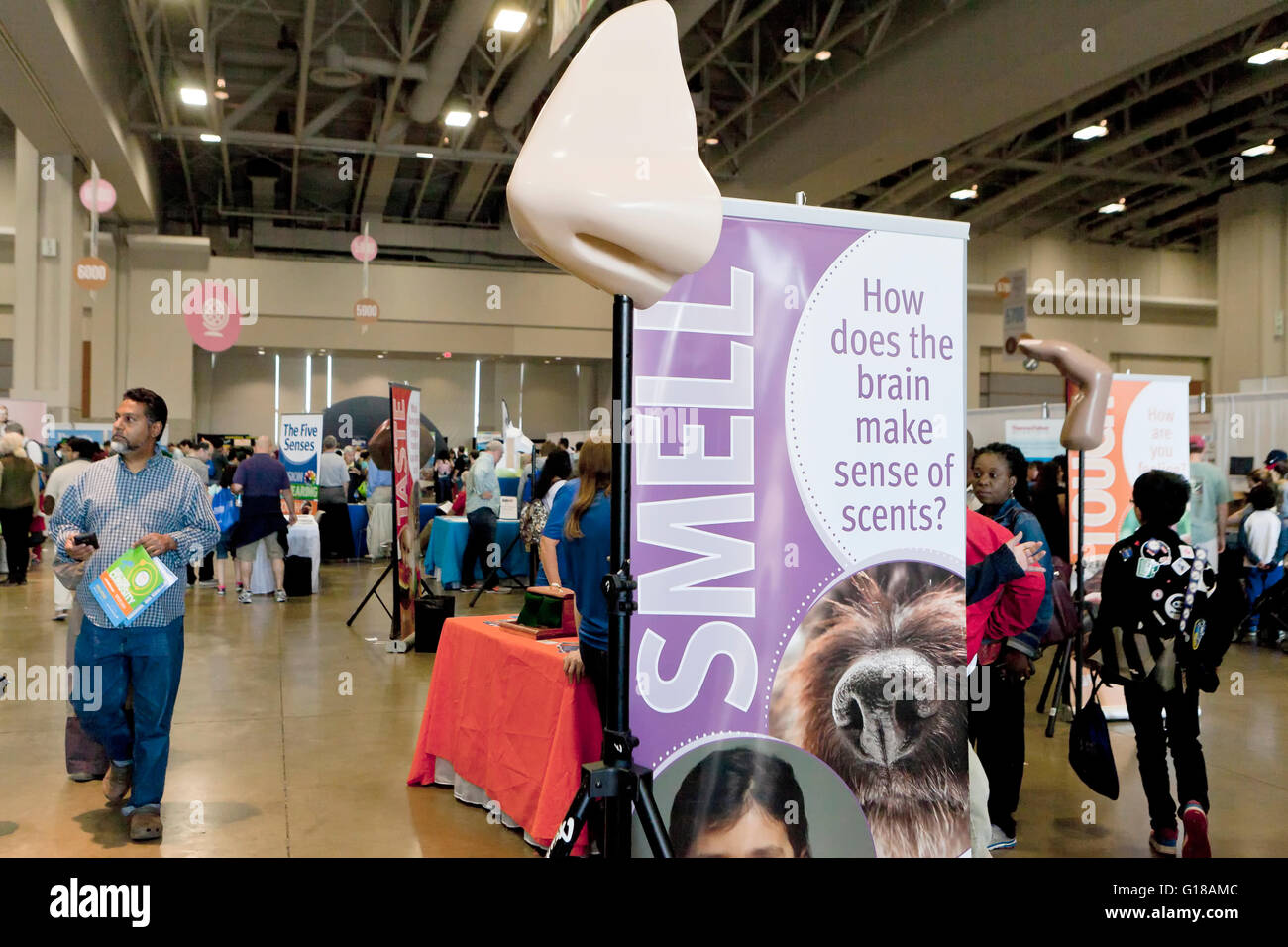 The 5 Senses exhibit at science fair - USA Stock Photo