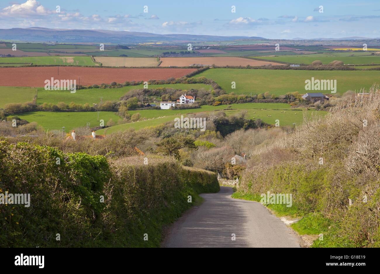 Pretty Devonshire lane, England Stock Photo Alamy