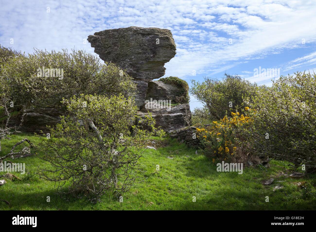 Rocky outcrop near Soar Mill Cove, Devon, England. Stock Photo