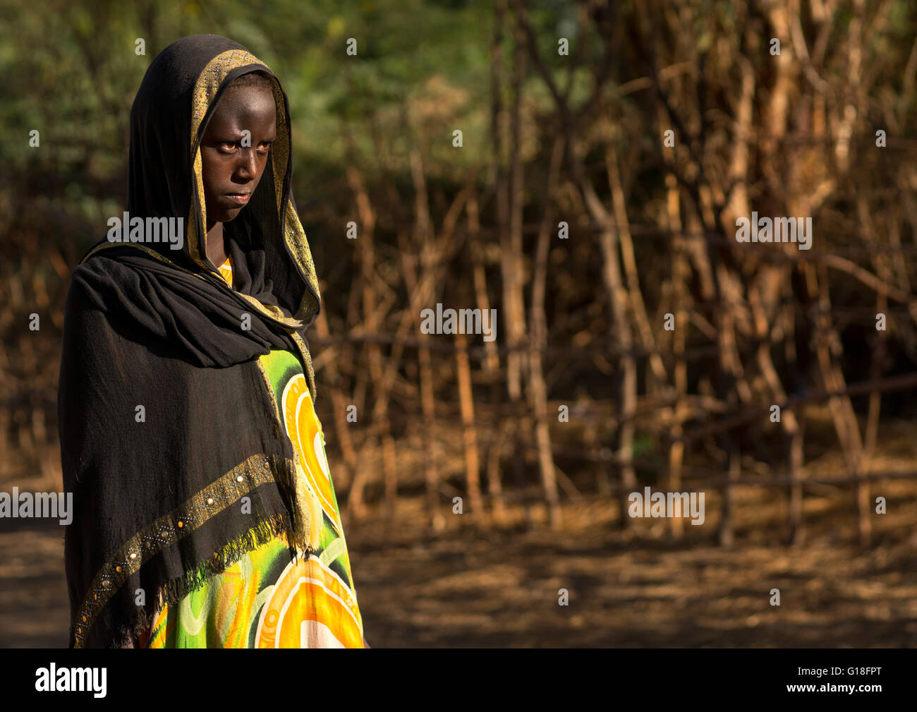 Portrait of an afar tribe teenage girl, Afar region, Afambo, Ethiopia ...