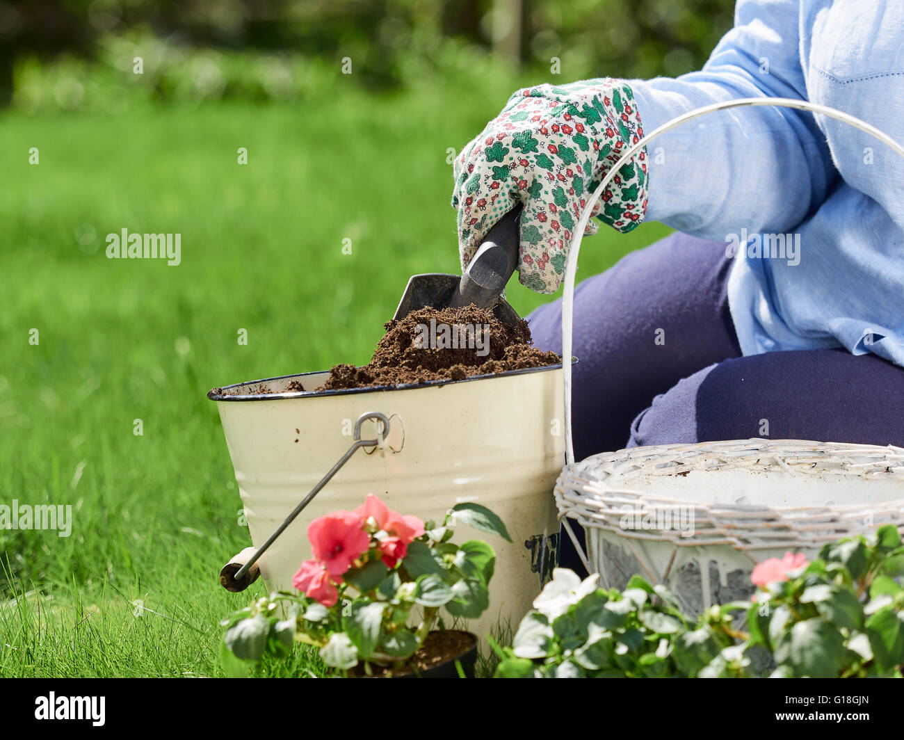 Mature woman gardening, she planting flowers, close up Stock Photo - Alamy