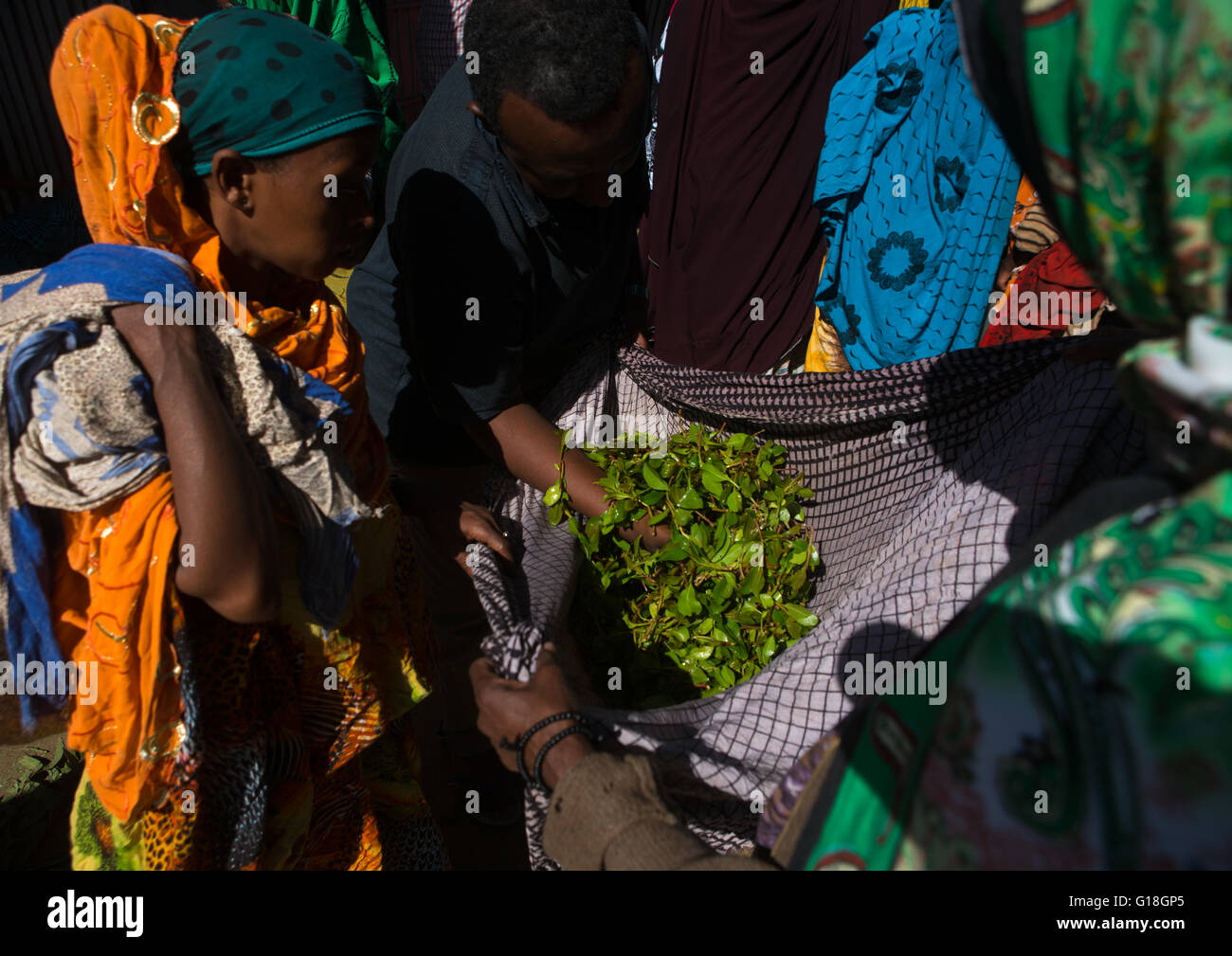 Women selling khat in the market near harar, Harari region, Awaday, Ethiopia Stock Photo