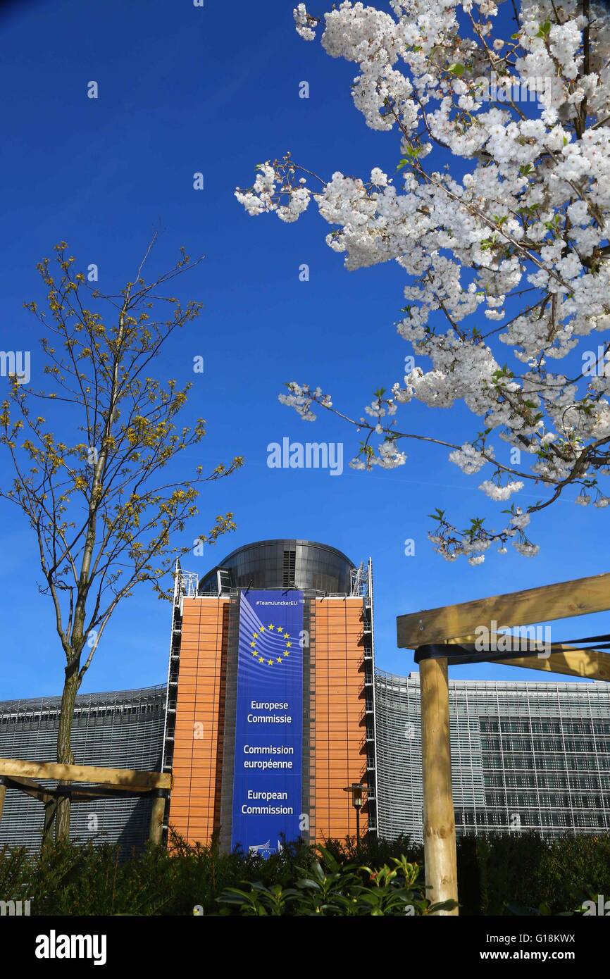 Brussels, Belgium. 5th May, 2016. Flowers are seen in front of the EU headquarters in Brussels, Belgium, May 5, 2016. © Gong Bing/Xinhua/Alamy Live News Stock Photo
