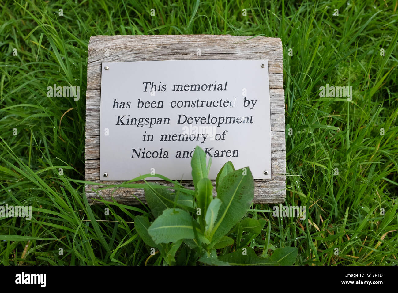 Brighton, UK. 11th May, 2016. The memorial tree at Wild Park in Brighton where the bodies of murdered schoolgirls Nicola Fellows and Karen Hadaway were discovered almost 30 years ago . A man was arrested yesterday in connection with what became known as The Babes in the Wood Murders  © Simon Dack/Alamy Live News  Credit:  Simon Dack/Alamy Live News Stock Photo