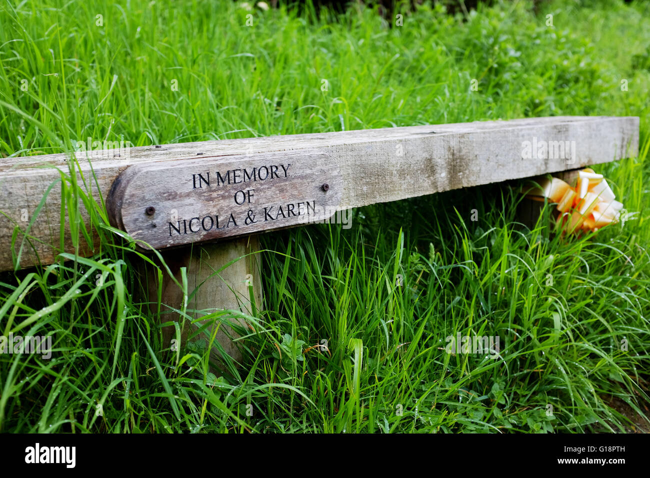 Brighton, UK. 11th May, 2016. The memorial tree at Wild Park in Brighton where the bodies of murdered schoolgirls Nicola Fellows and Karen Hadaway were discovered almost 30 years ago . A man was arrested yesterday in connection with what became known as The Babes in the Wood Murders  © Simon Dack/Alamy Live News  Credit:  Simon Dack/Alamy Live News Stock Photo