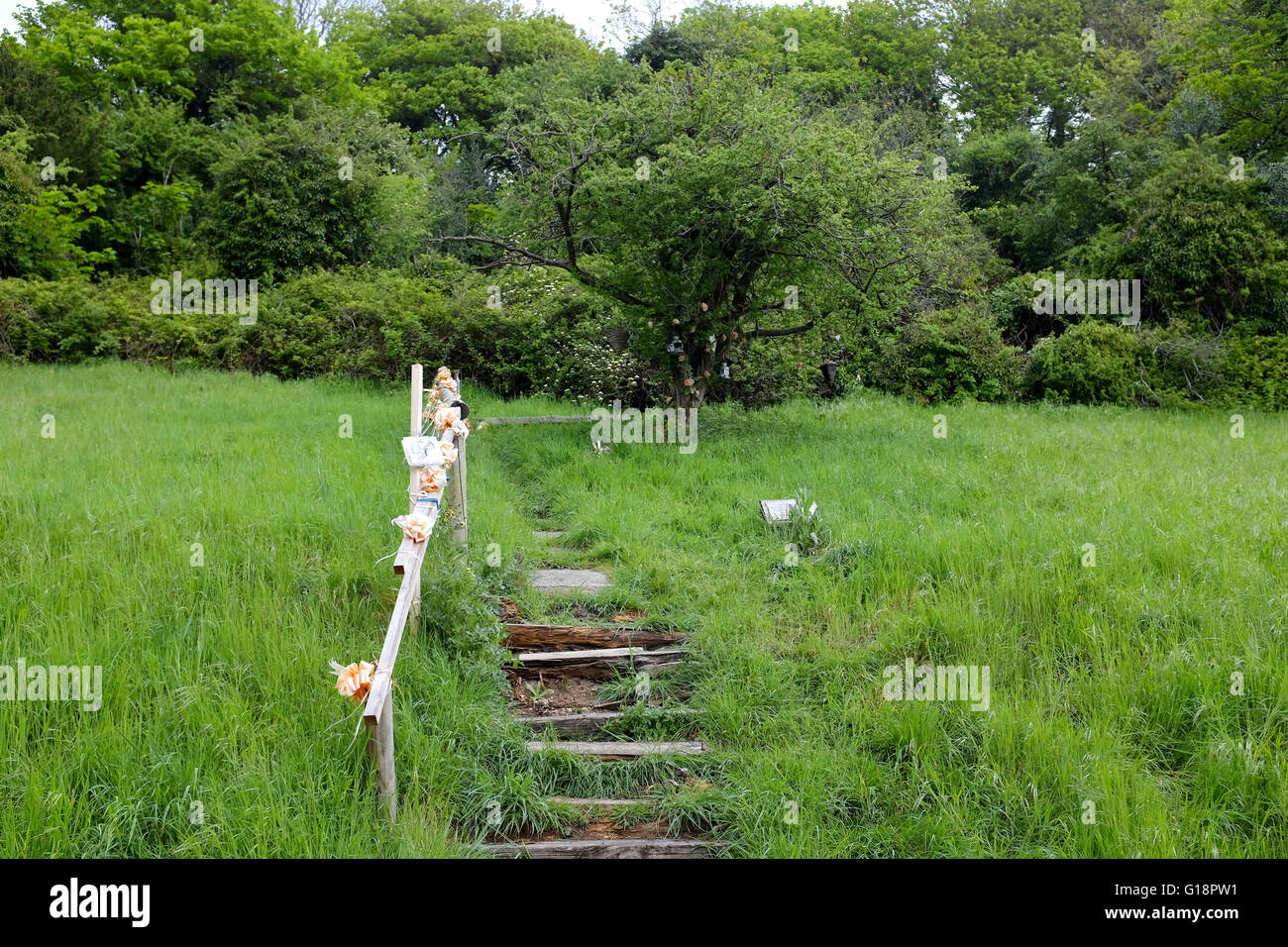 Brighton, UK. 11th May, 2016. The memorial tree at Wild Park in Brighton where the bodies of murdered schoolgirls Nicola Fellows and Karen Hadaway were discovered almost 30 years ago . A man was arrested yesterday in connection with what became known as The Babes in the Wood Murders  © Simon Dack/Alamy Live News  Credit:  Simon Dack/Alamy Live News Stock Photo