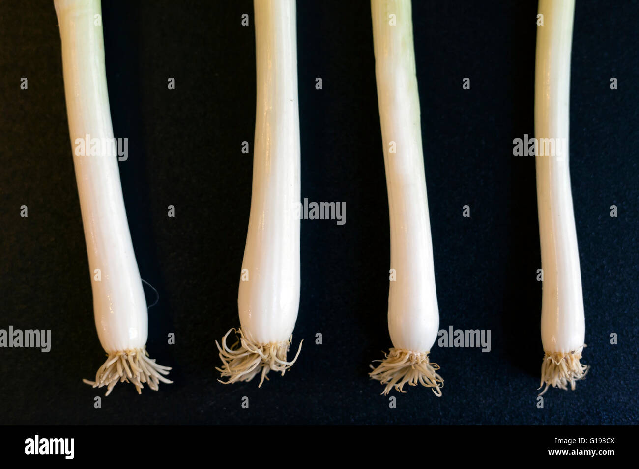 One Spring Onion Standing Raw spring onion hi-res stock photography and images - Alamy