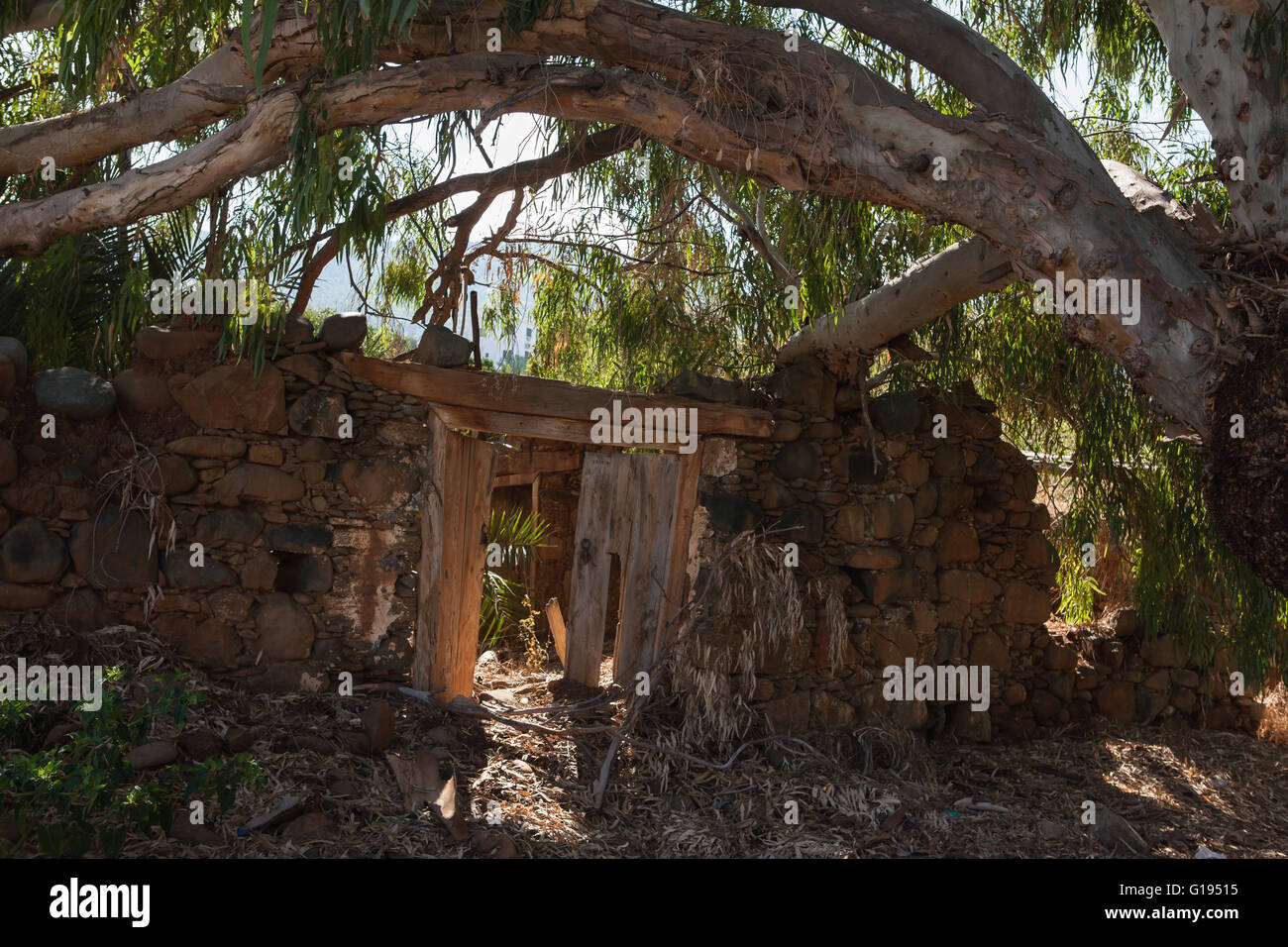 Derelict, ruined building, Pomos, Cyprus Stock Photo