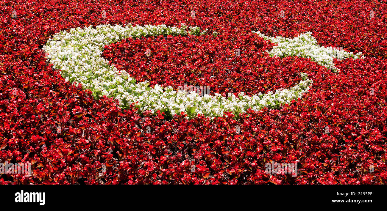 Turkish flag made of flowers Stock Photo