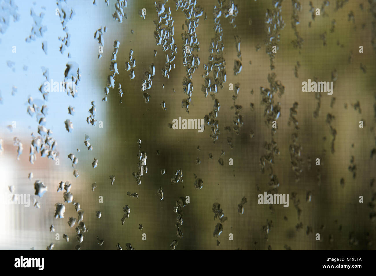 Condensation on a window pane with blurry background Stock Photo