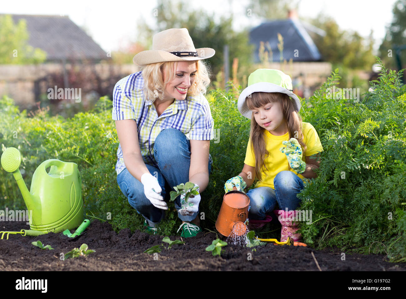 Mother and kid daughter planting strawberry seedling in a garden. Little girl watering new plants. Stock Photo