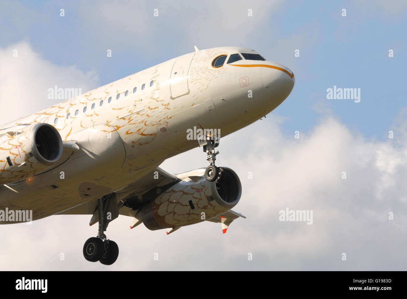 British Airways Airbus A319 G-EUPA landing at London Heathrow Airport, UK Stock Photo