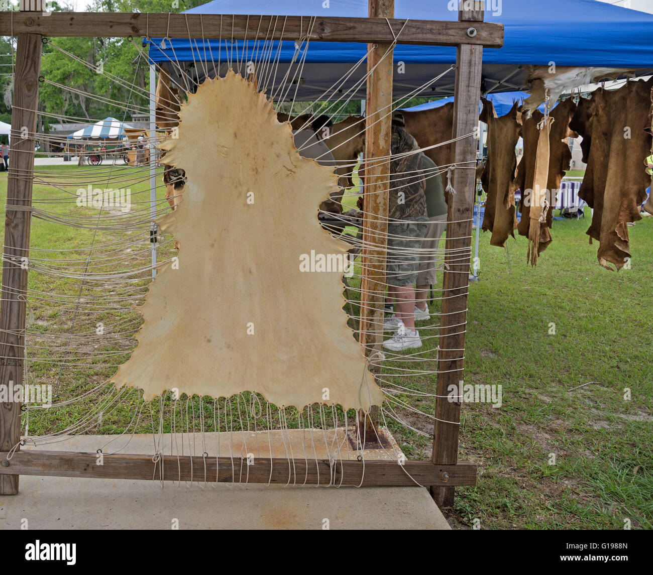 Pioneer Days annual celebration in High Springs Florida. Stock Photo