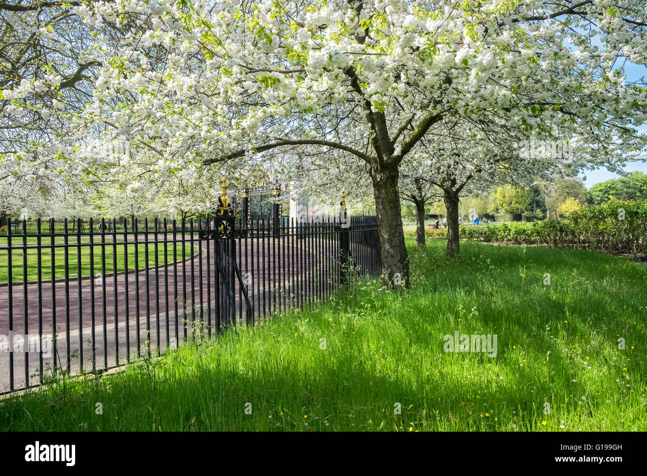 Entrance gates to Queen Mary's Garden, Regents Park, London UK Stock Photo