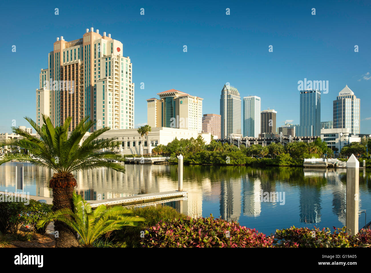 Early morning over the skyline of Tampa, Florida, USA Stock Photo