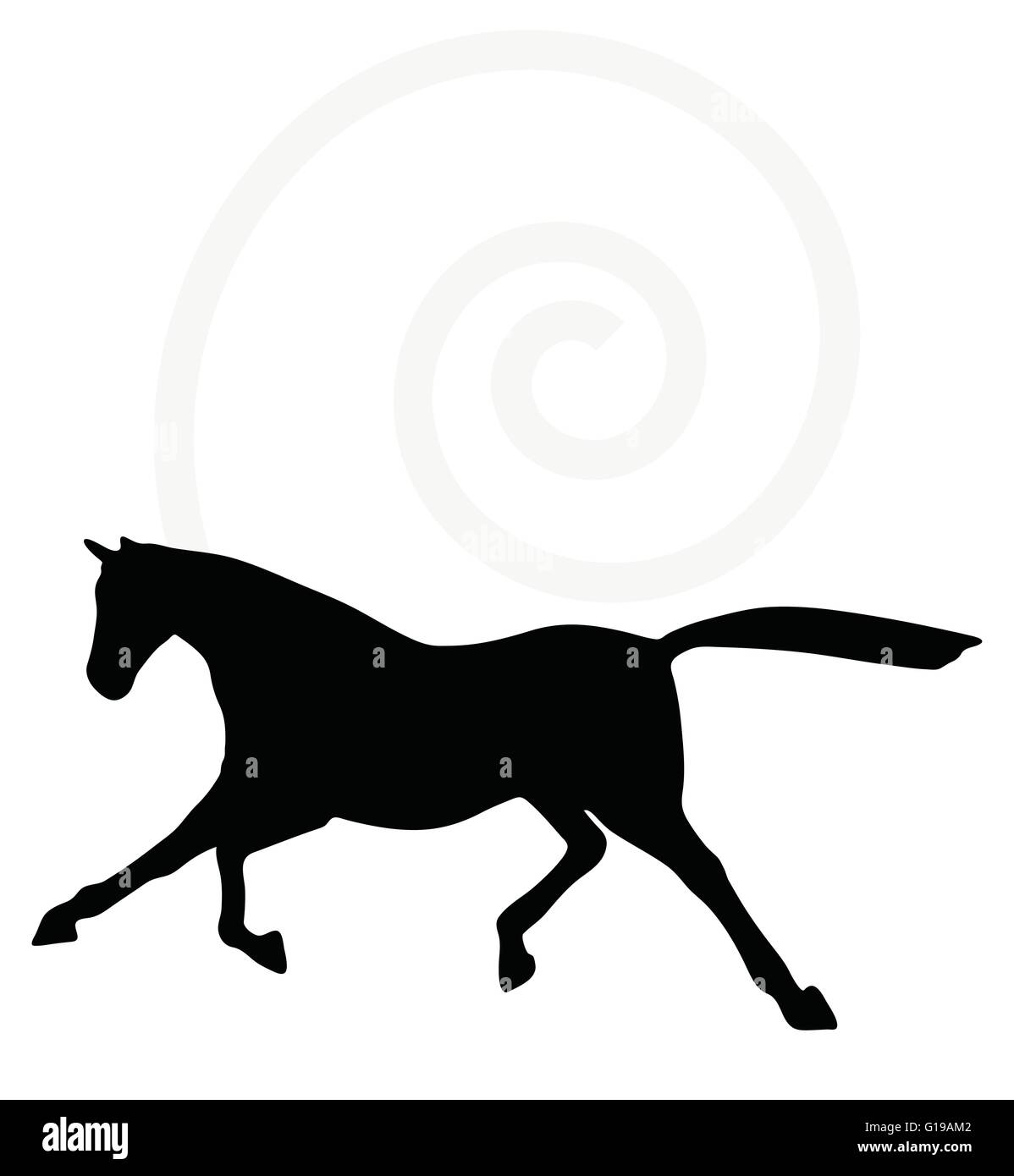 Vector Image horse silhouette in fast trot pose isolated on white