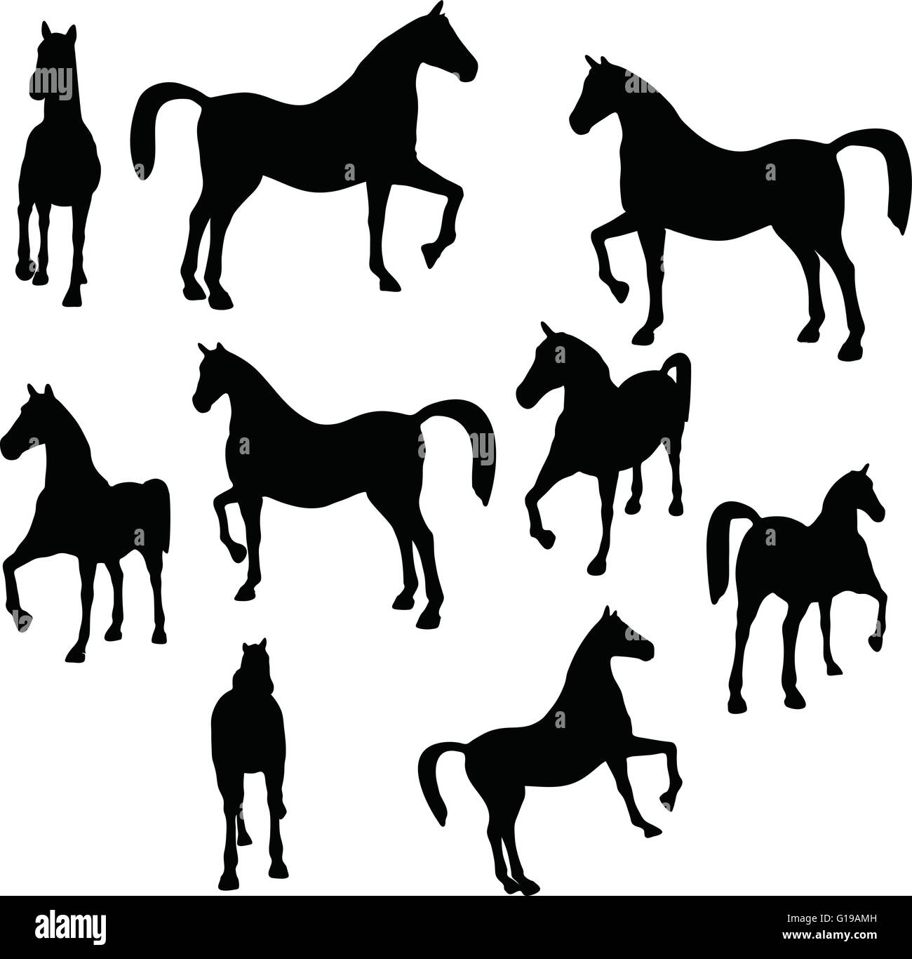 Workhorse Vector Vector Image - horse silhouette in show horse pose isolated on white ...