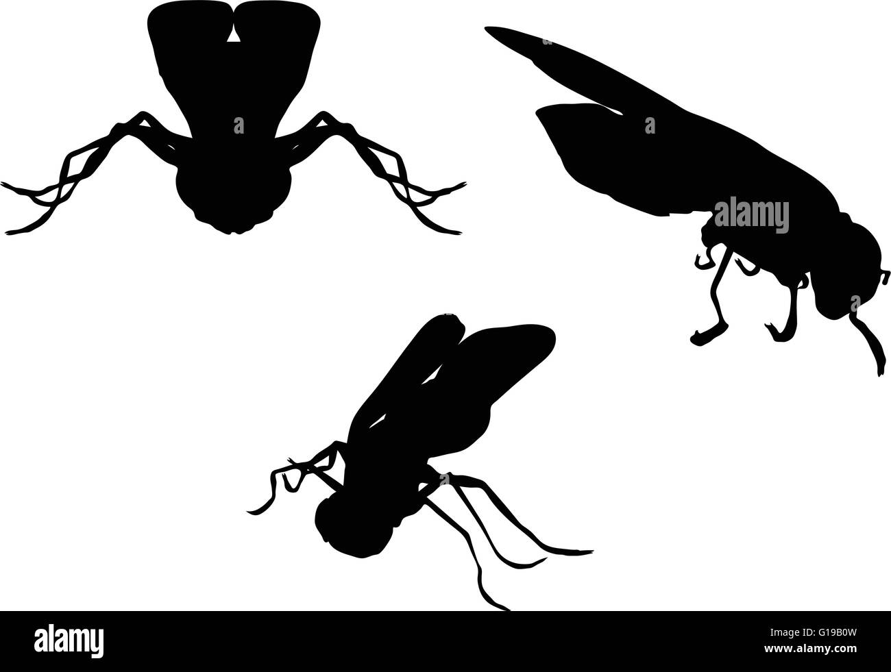 Vector Image - bug fly silhouette isolated on white background Stock ...