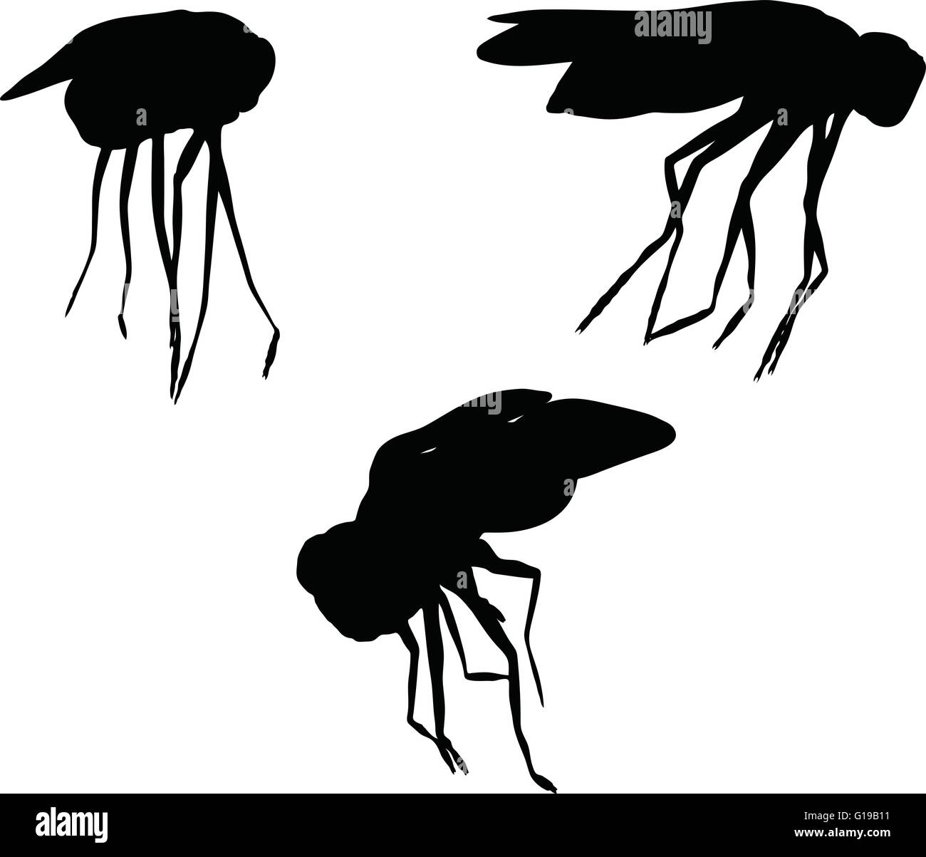 Vector Image - bug fly silhouette isolated on white background Stock ...