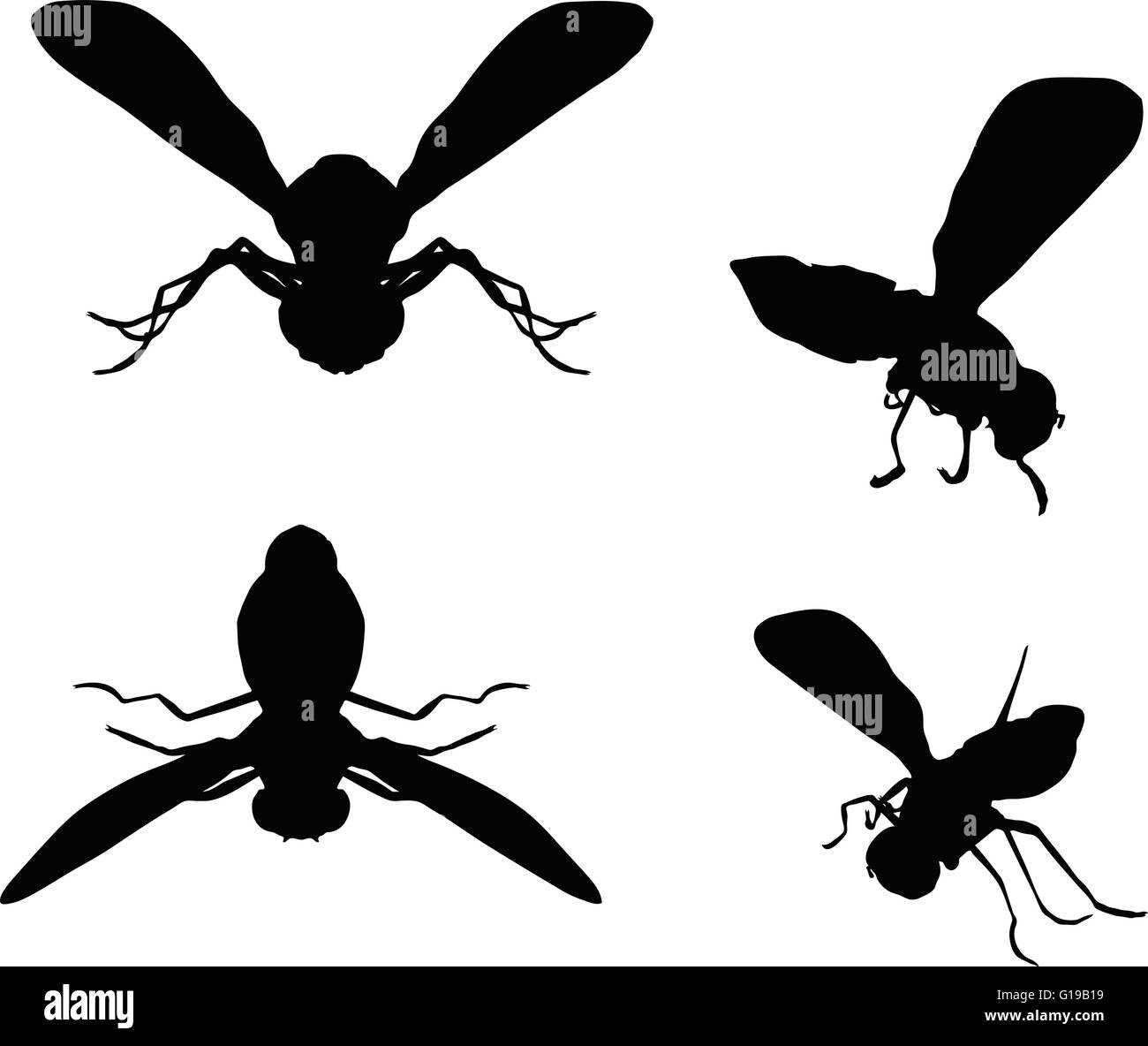 Vector Image - bug fly silhouette isolated on white background Stock ...
