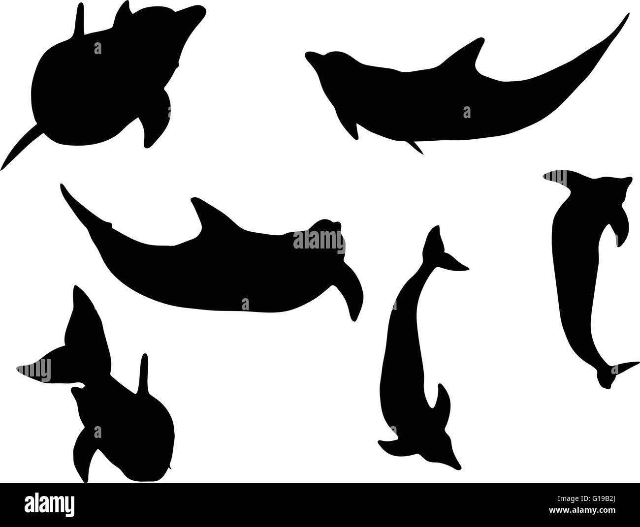 Vector Image dolphin silhouette isolated on white background Stock