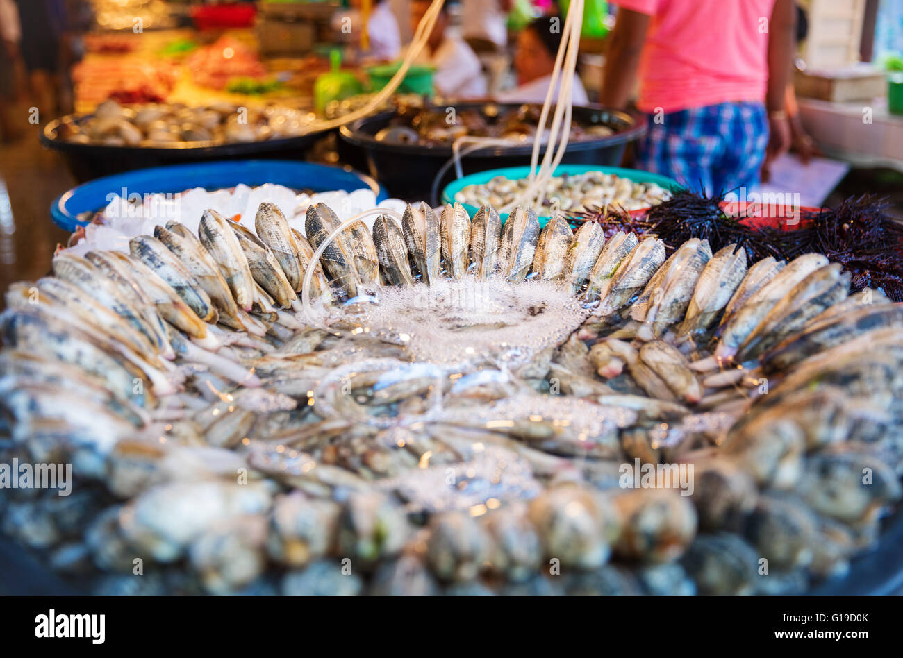 Shellfish for sale at Asian market Stock Photo Alamy