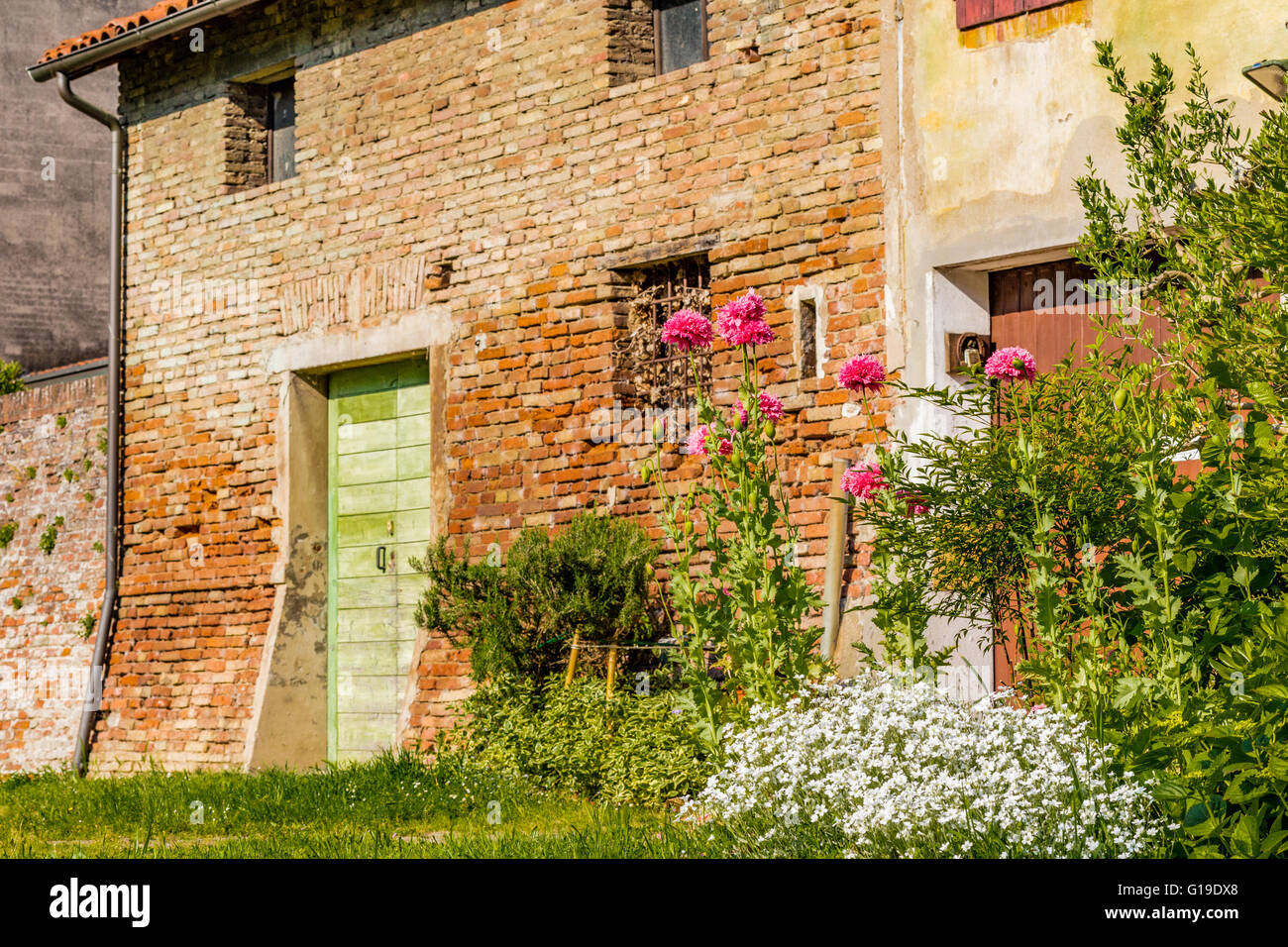 flowers and plants in the garden in front of brick wall of an old house ...