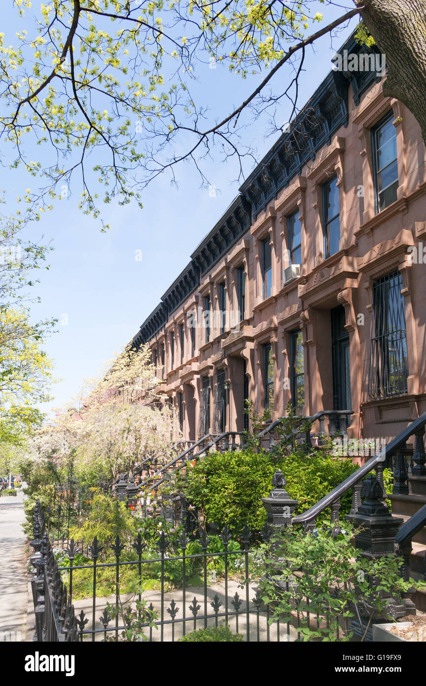 Spring blossom and Brownstones, 8th Street, Park Slope Brooklyn, New