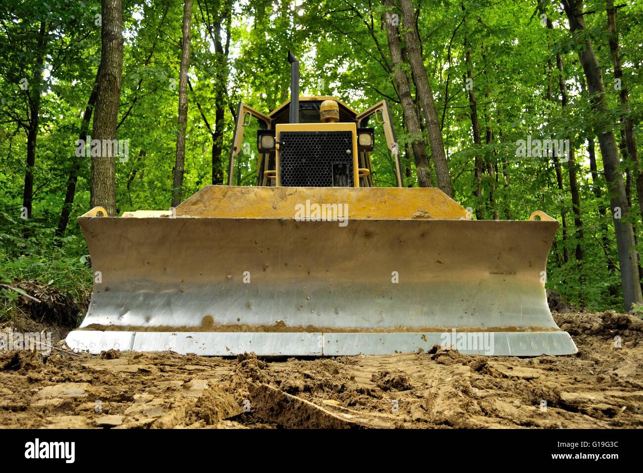 Bulldozer standing in forest for deforestation Stock Photo