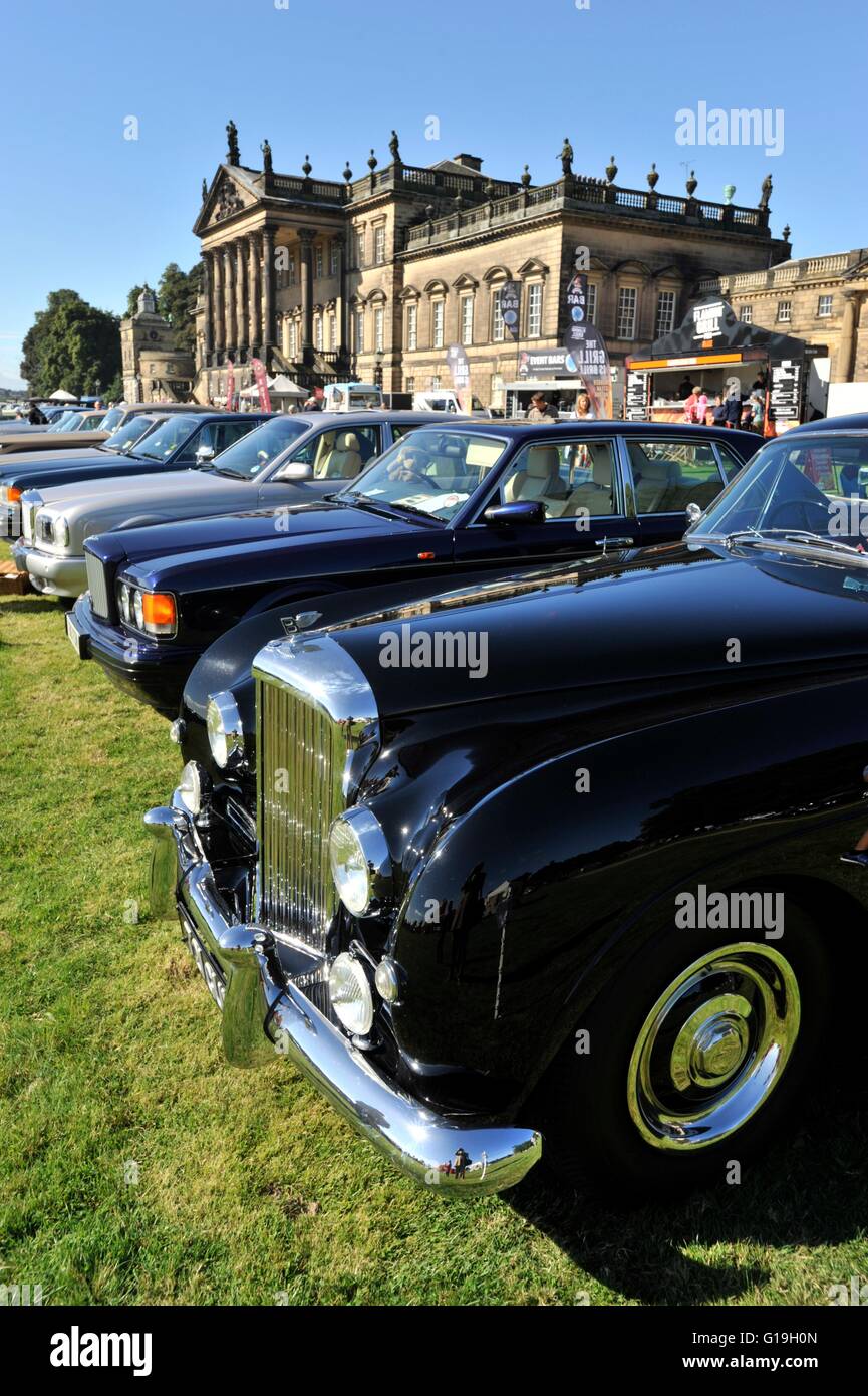 A collection of Bentley's at a car rally , Wentworth Woodhouse Stock Photo