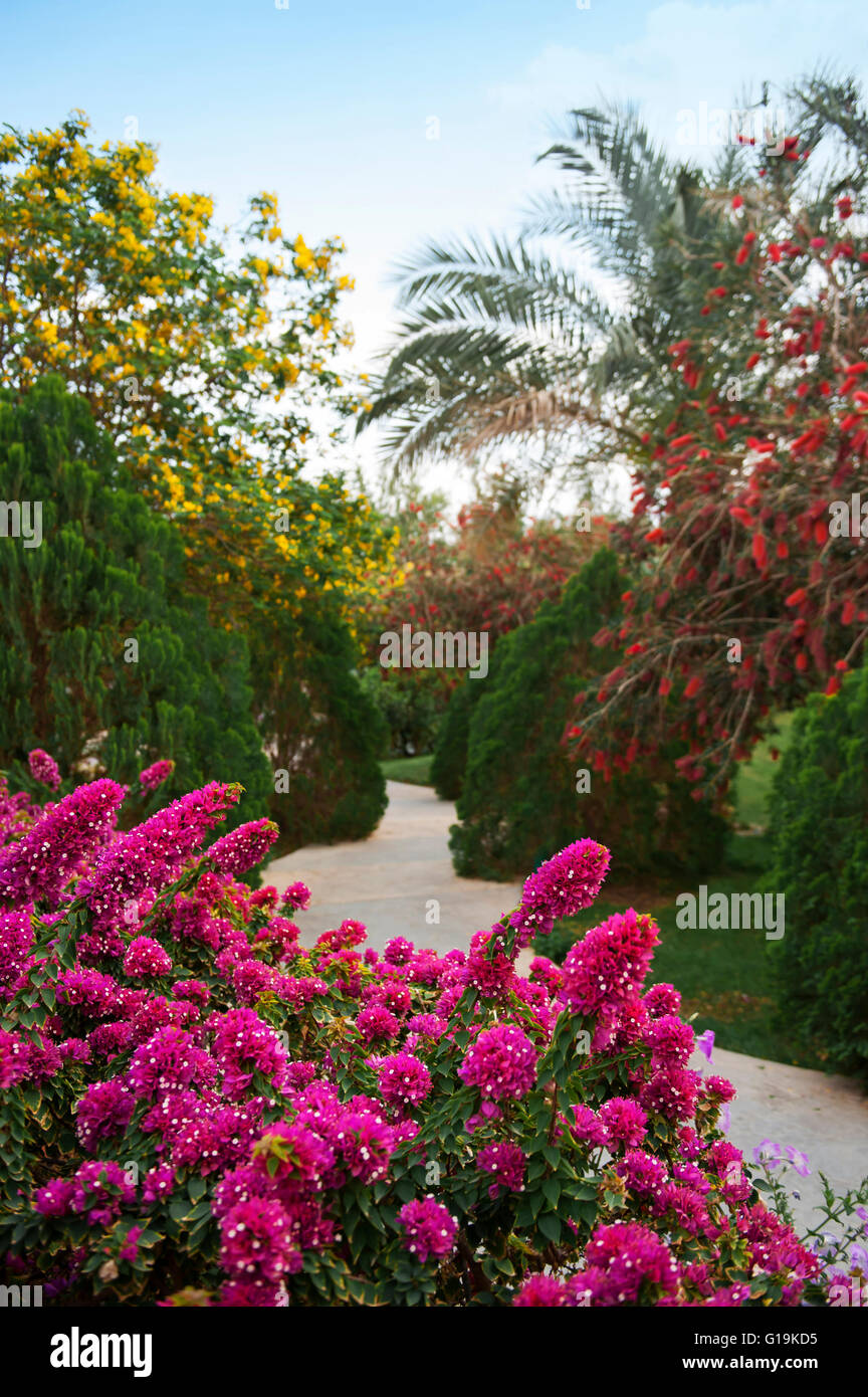 Exotic garden hi-res stock photography and images - Alamy
