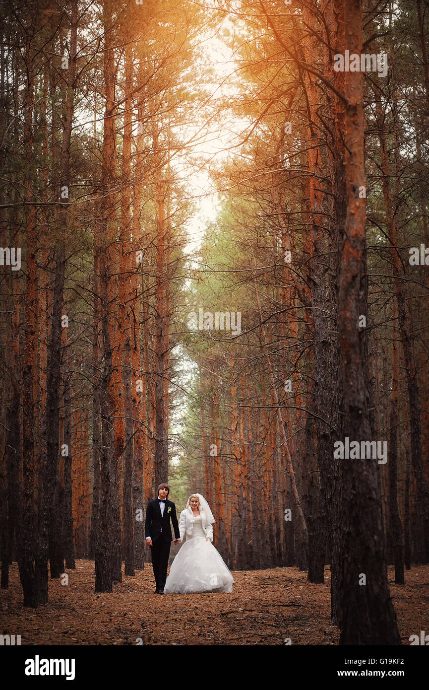 wedding bride and groom in forest Stock Photo - Alamy