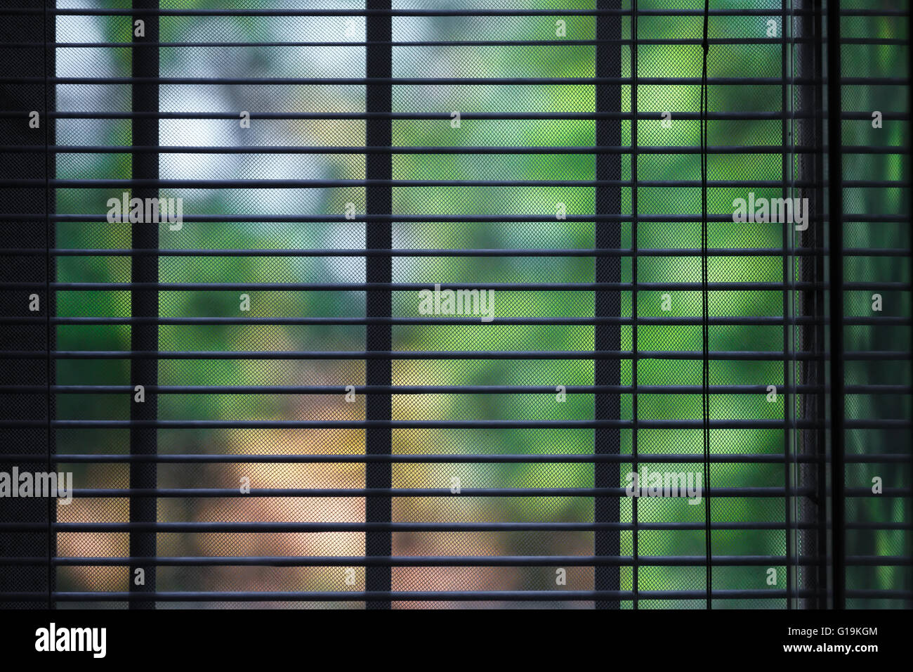 Window Louver Texture window louver closeup view abstract background Stock Photo - Alamy