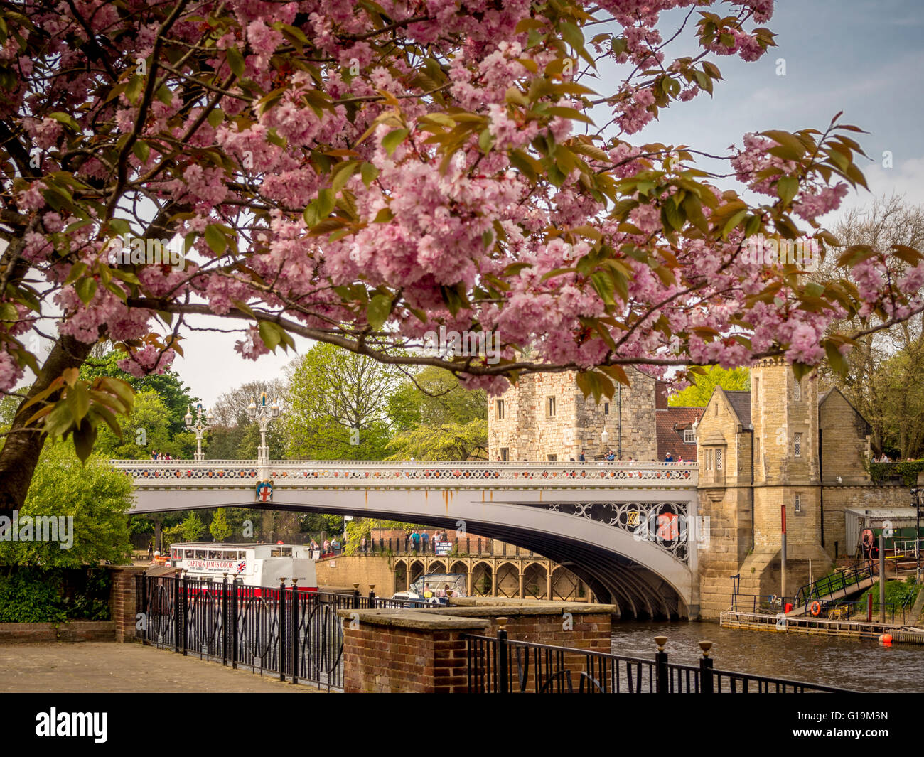 Lendal Bridge and blossom, York, North Yorkshire, UK. Stock Photo