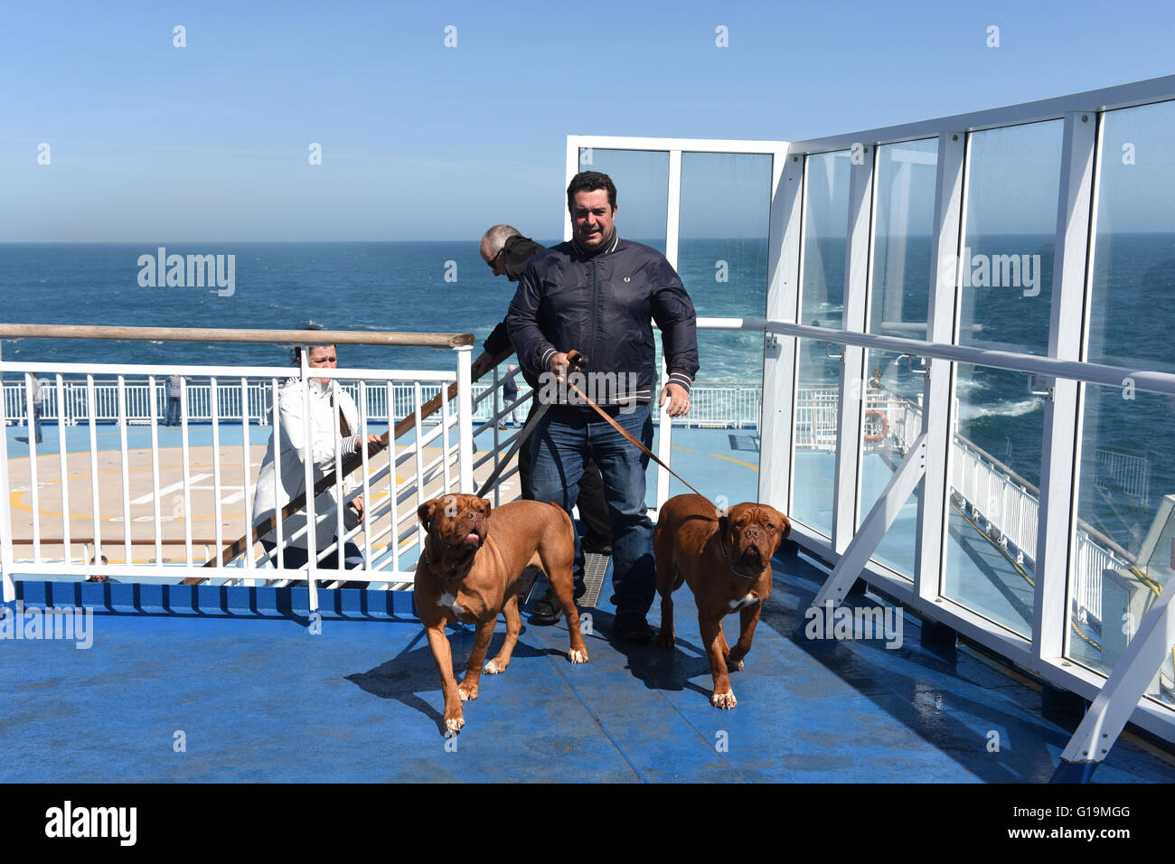 brittany ferries dogs on board