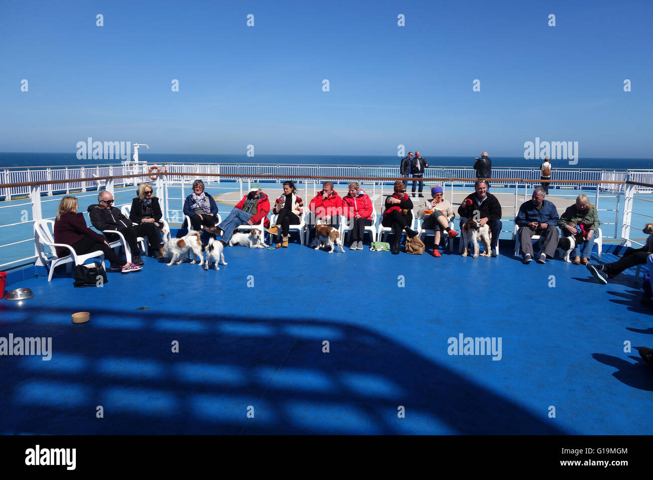 brittany ferries dogs on board